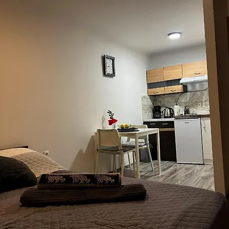 Studio Apartman Rijeka Exterior photo