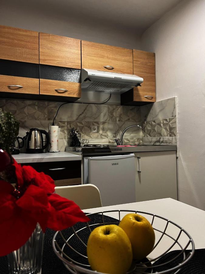 Apartment Studio Apartman Rijeka *
